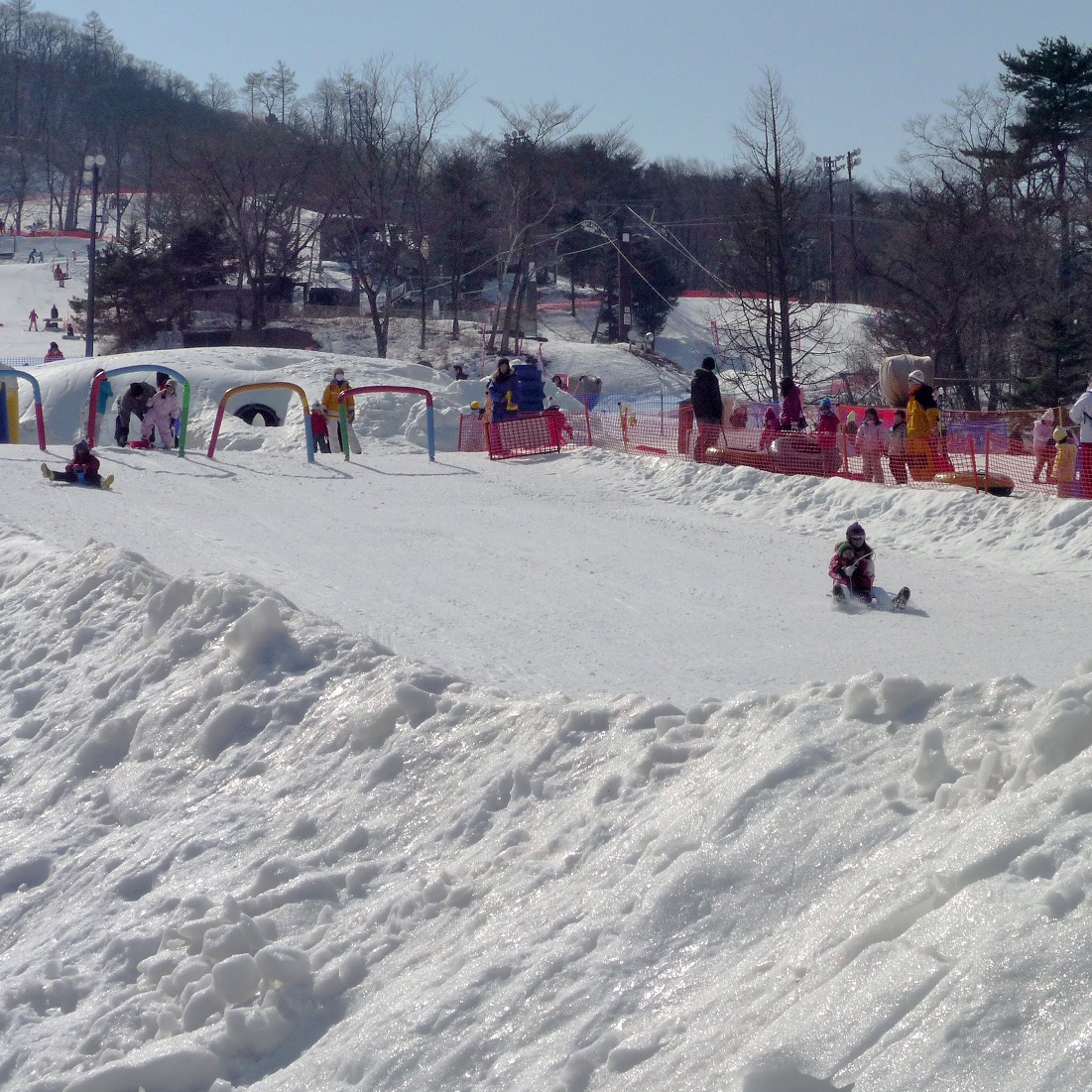 宿泊者限定企画 軽井沢プリンスホテルスキー場 お得情報 Icu ネット
