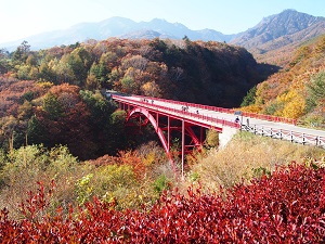 清里・八ヶ岳のおすすめ紅葉スポット・東沢大橋