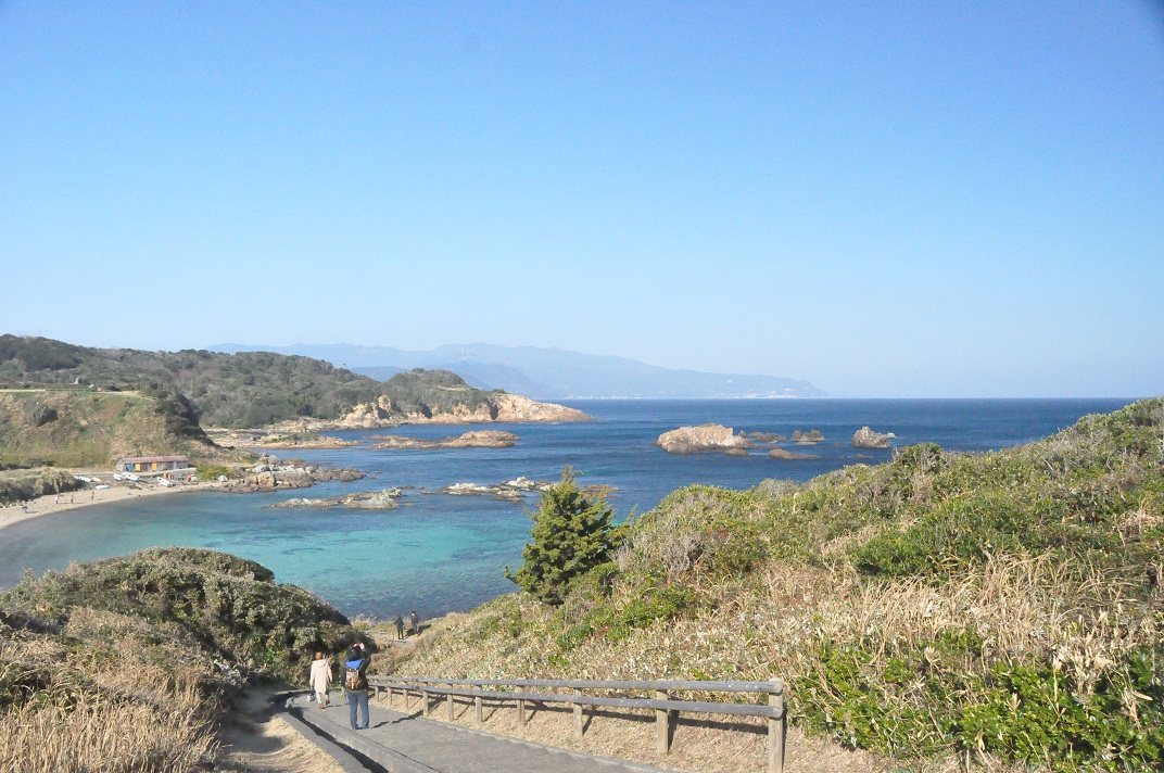 伊豆の綺麗な海と水仙まつり